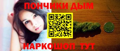 прущие грибы Можга