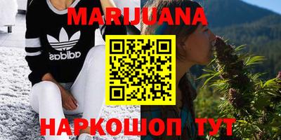 прущие грибы Можга